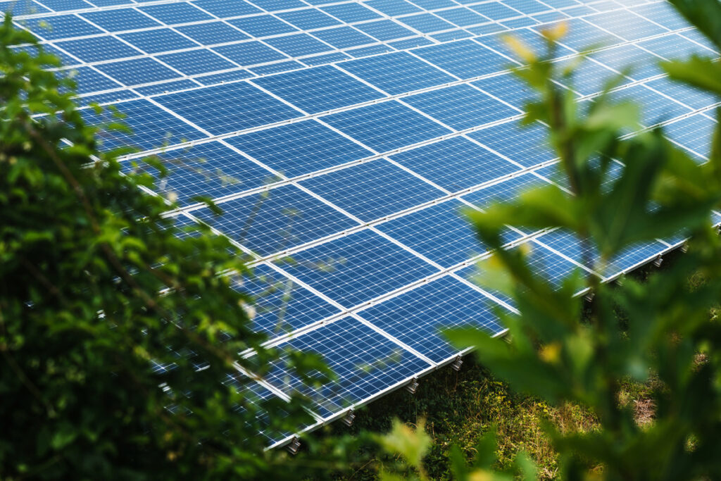 Parc de panneaux solaires derrière des haies végétales